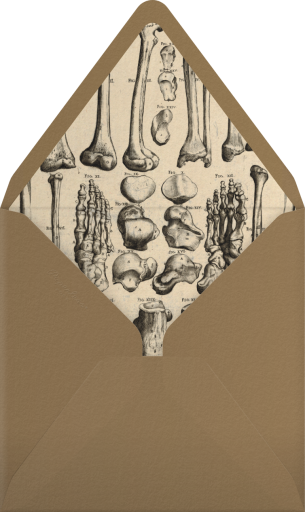 Skeleton with Drink - John Derian Envelope