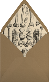 Skeleton with Drink - John Derian Envelope