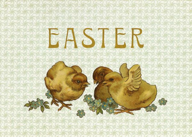 Easter Hatchlings by John Derian