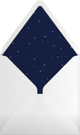 Polar Bears They're Just Like Us - Paperless Post Envelope