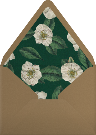 Hellebore Christmas Rose (Greeting) - John Derian Envelope