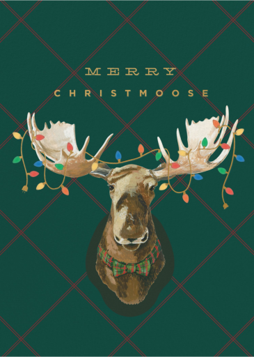 Moose Lights Plaid Invitation