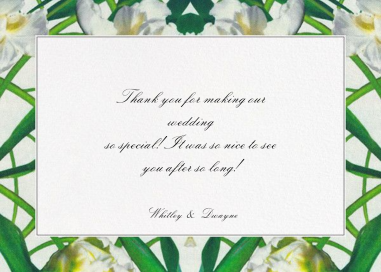 Parrot Tulip (Stationery) - Stationery by Oscar de la Renta