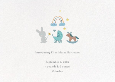 Thankful Toys - Rainbow Baby Announcement by Little Cube