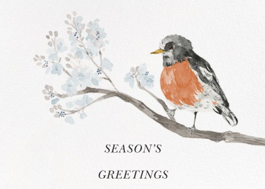 English Robin (Greeting) - Holiday Card by Paperless Post