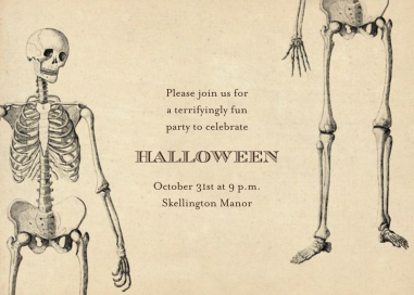 Skeleton by John Derian