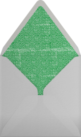 The Raleigh - Mr. Boddington's Studio Envelope