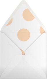 Broad Stripes - Sugar Paper Envelope