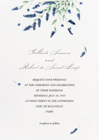 Wild Lavender by  Monique Lhuillier