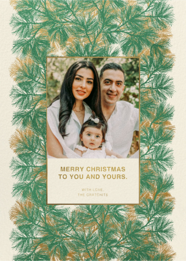 Wispy Border Photo - Holiday Card by Marimekko