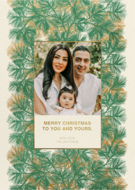 Wispy Border Photo - Holiday Card by Marimekko
