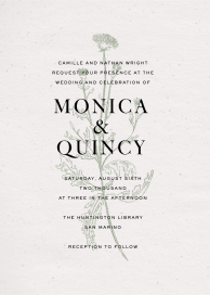 Fine Dandelion by Paperless Post