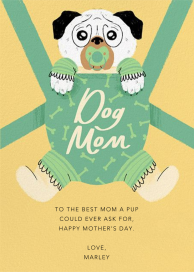 Furbaby Crazy (Dog) - Greeting Card by Paperless Post