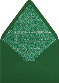 Lost in the Fern Bank - Mr. Boddington's Studio Envelope