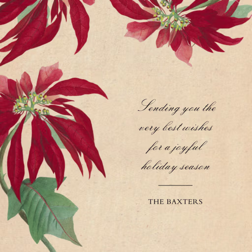 Euphorbia - Holiday Card by John Derian