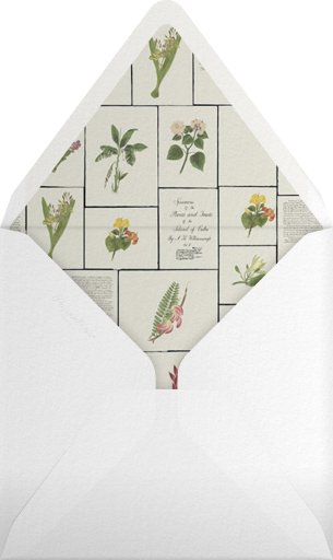 Tropical Garden - Oscar de la Renta Envelope