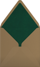 Paeonia - John Derian Envelope