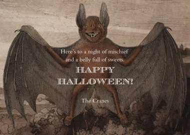 Bat Derian by John Derian