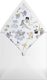 Hyacinth Trio - Paperless Post Envelope