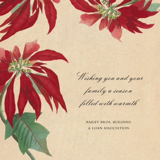 Euphorbia - Business Holiday Card by John Derian