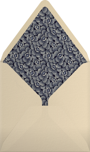 Faience Chinois - John Derian Envelope