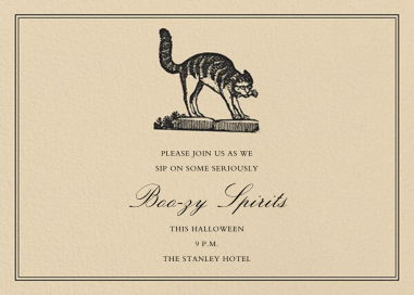 Witch's Cat - Horizontal by John Derian