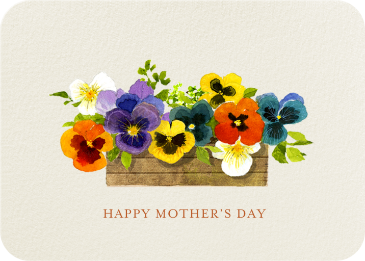 Pansies - Greeting - Greeting Card by Felix Doolittle