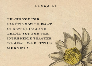 White Dahlia by John Derian