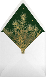 Photo Grid Border - Paperless Post Envelope