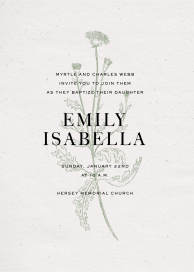 Fine Dandelion - Baptism & Christening Invitation by Paperless Post