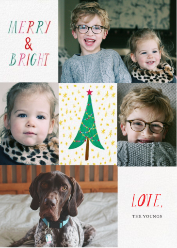 Glittery Tree in the Christmas Forest (Multi-Photo) - Holiday Card by Mr. Boddington's Studio