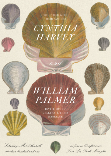 Anatomy of a Shell by John Derian