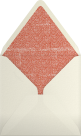 Stripes on Paper - Mr. Boddington's Studio Envelope