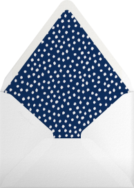Ikat Dot - Oscar de la Renta Envelope