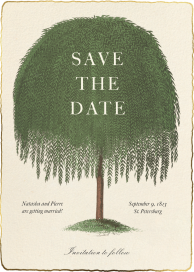 Quiet Willow - Save the Date by John Derian