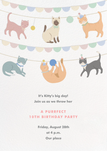 Pet Garland - Cats by Meri Meri