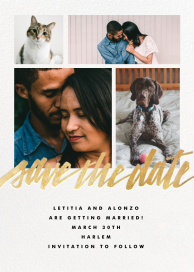 Clarissa (Tall) - Save the Date by Paperless Post