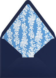 Springline - Paperless Post Envelope