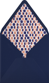 Watch My Swan Dive - Mr. Boddington's Studio Envelope