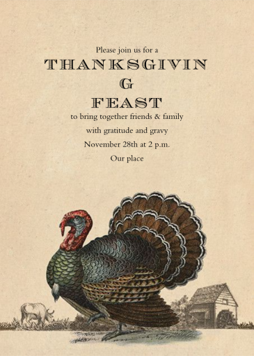 Turkey and Farm by John Derian