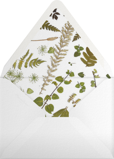 Boyceau - Paperless Post Envelope