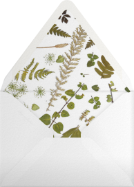 Boyceau - Paperless Post Envelope