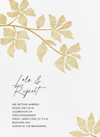 Rio Novo by Crane & Co.