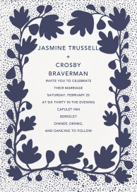 Ficus by Linda and Harriett