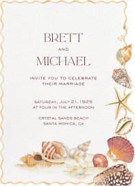 Shells on Shells by Clementina Sketchbook