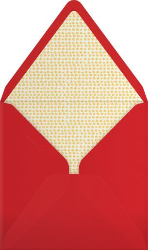 Wunderbar - Paperless Post Envelope