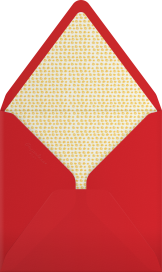 Wunderbar - Paperless Post Envelope