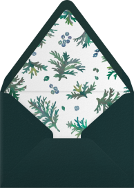 Junipero - Happy Menocal Envelope