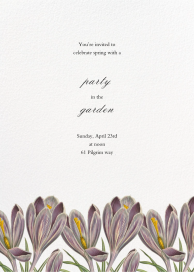 Crocus Vernus by John Derian