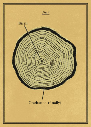 Cross Section - Graduation Card by Paperless Post